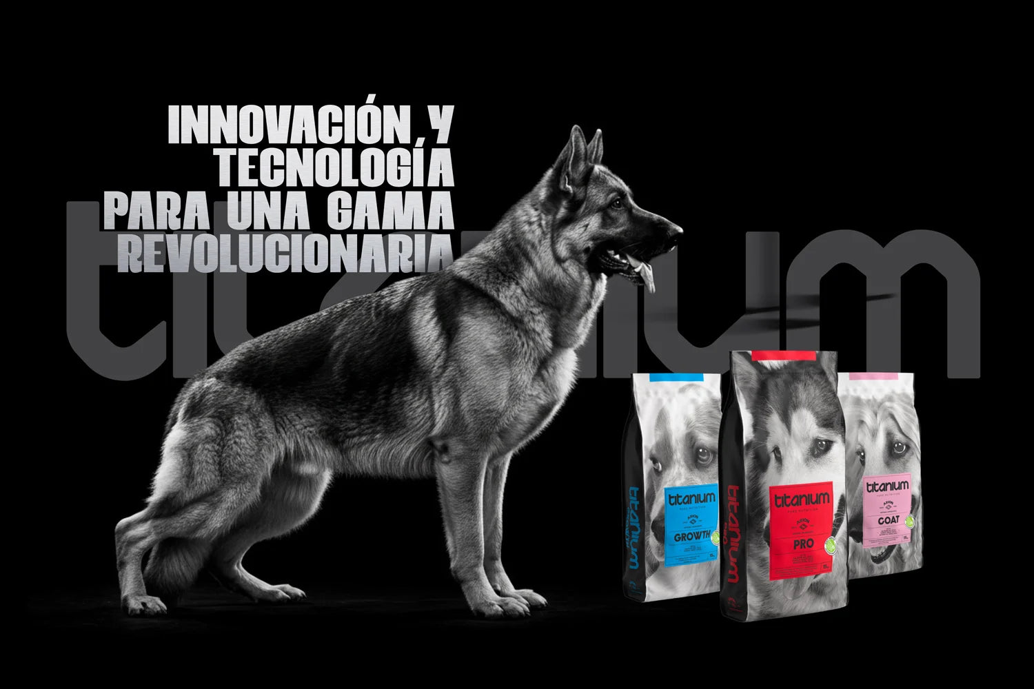 arion-titanium-gama